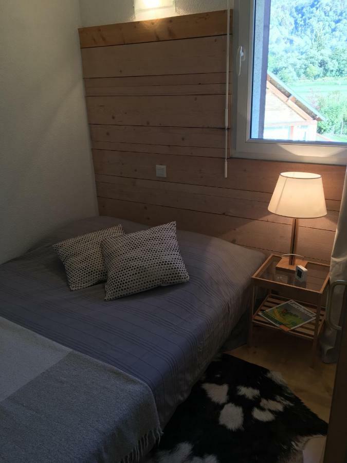 Appartement Les Pics D'Aran Bagnères-de-Luchon المظهر الخارجي الصورة